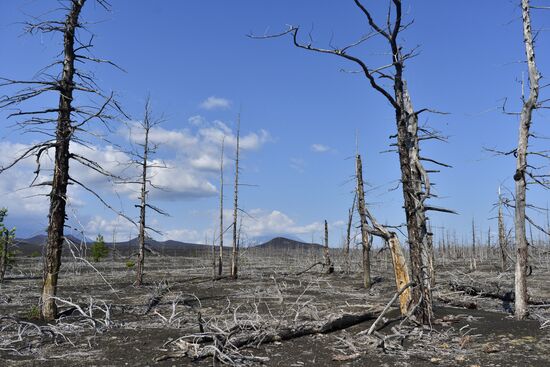 Work of volcanologists in BFTE area on Kamchatka Peninsula