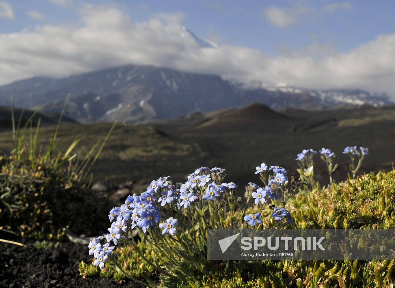 Work of volcanologists in BFTE area on Kamchatka Peninsula
