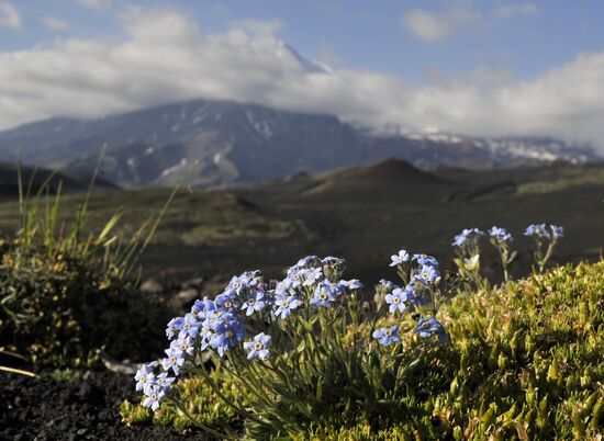 Work of volcanologists in BFTE area on Kamchatka Peninsula