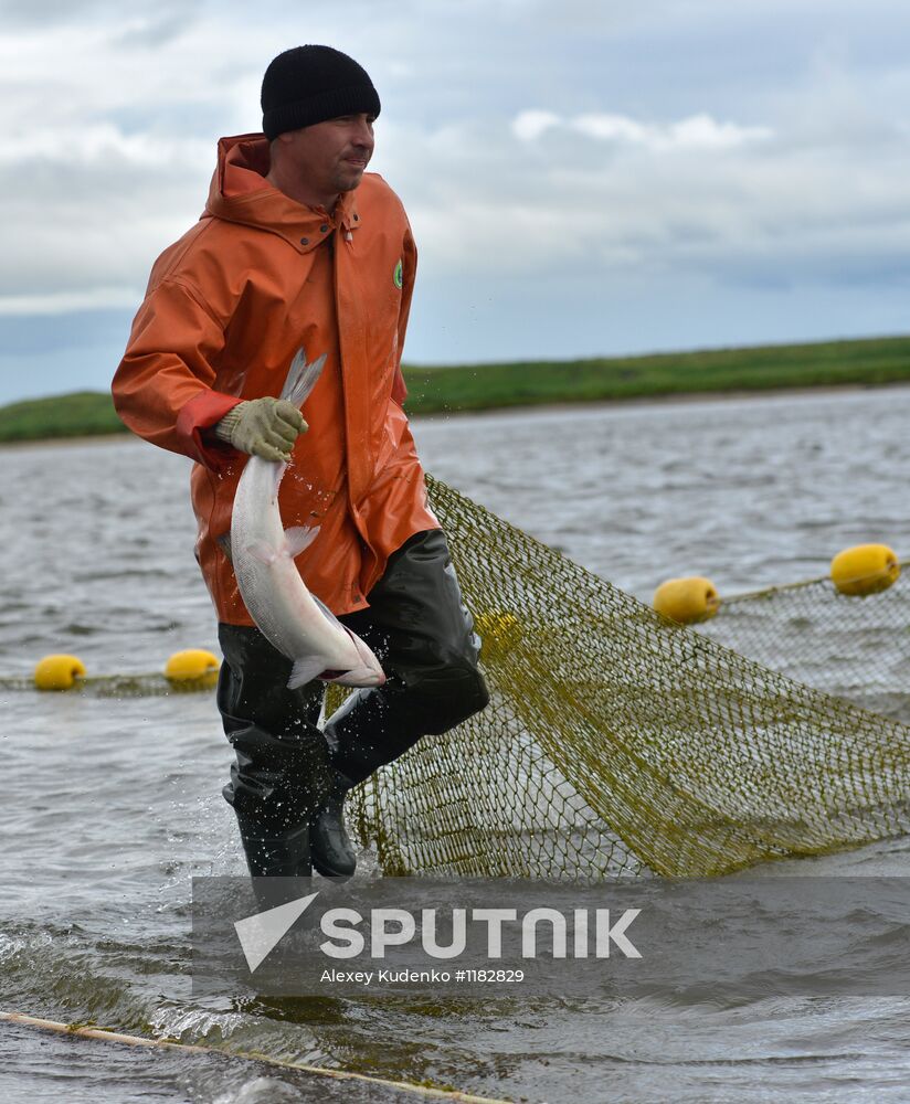 Fishing season starts on Opala River