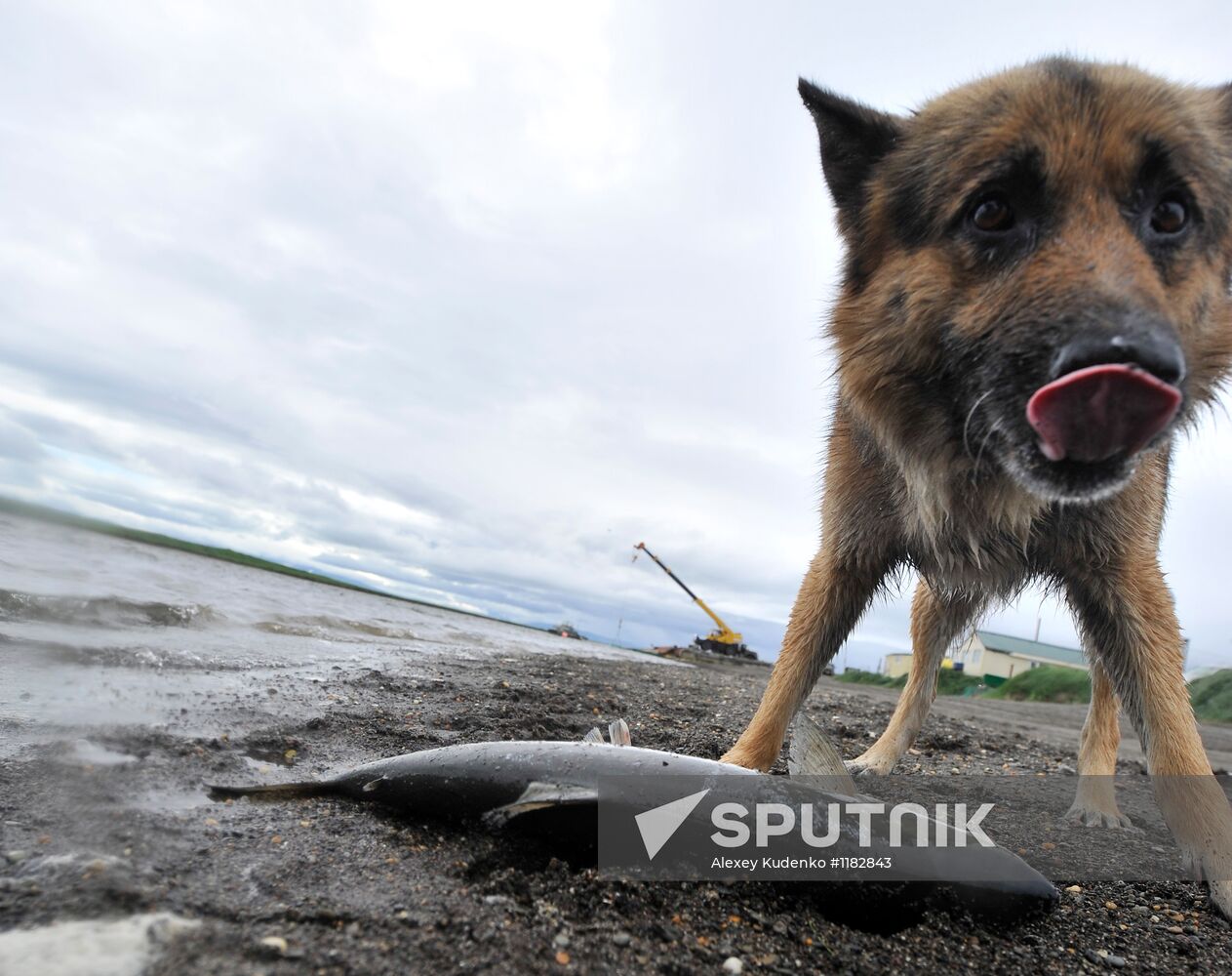 Fishing season starts on Opala River