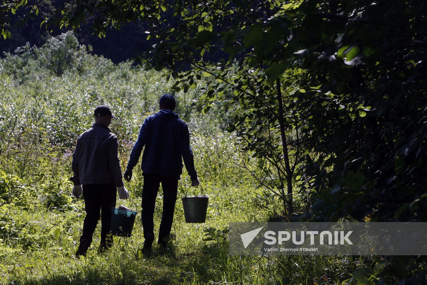 Children's summer camps in Leningrad Region