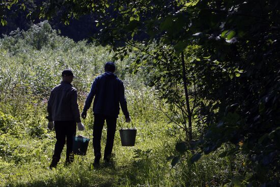 Children's summer camps in Leningrad Region