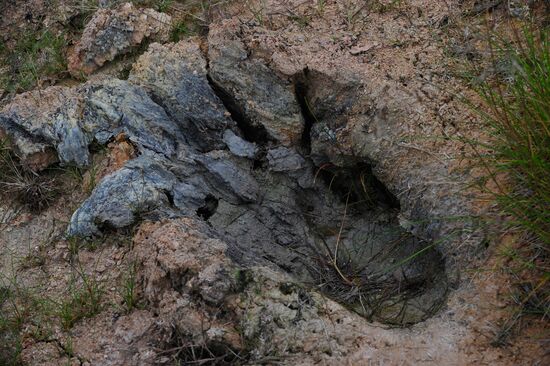 Valley of Geysers in Kronotsky Nature Reserve
