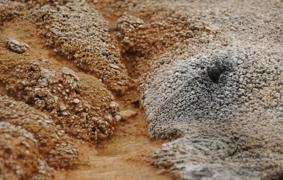 Valley of Geysers in Kronotsky Nature Reserve