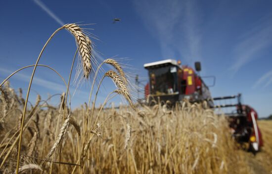 Festival of harvest in Belarus