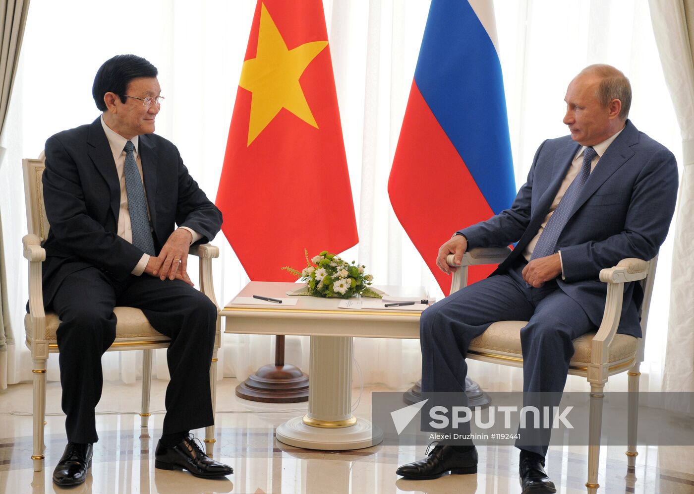 President Vladimir Putin meets with Truong Tan Sang