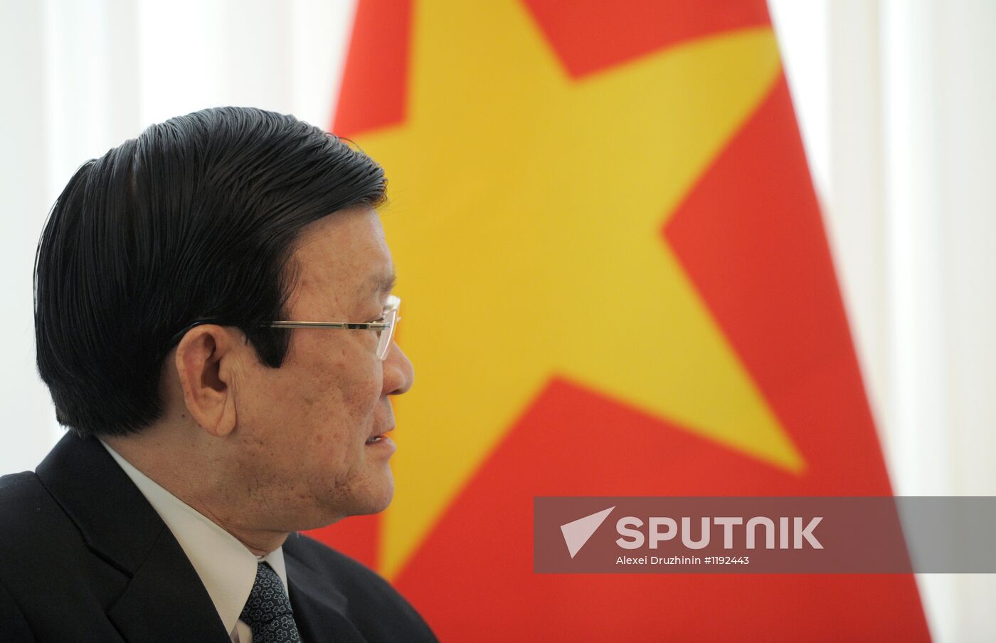 President Vladimir Putin meets with Truong Tan Sang