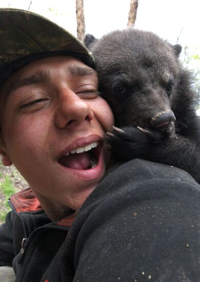 Himalayan bear cub