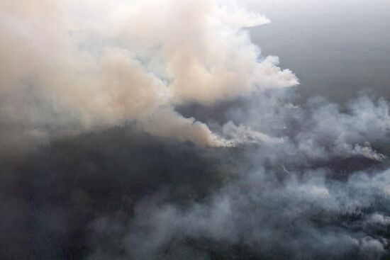 Wildfires in Tomsk Region