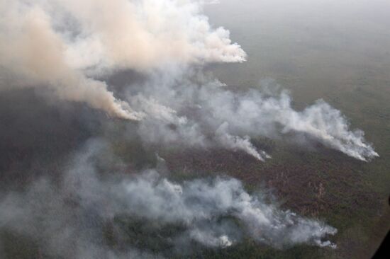 Wildfires in Tomsk Region
