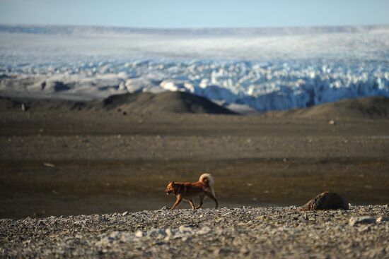 Russian Arctic National Park