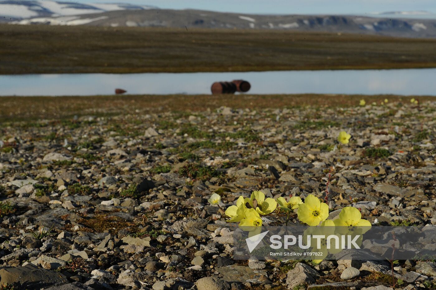 Russian Arctic National Park