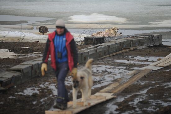 Russian Arctic national park