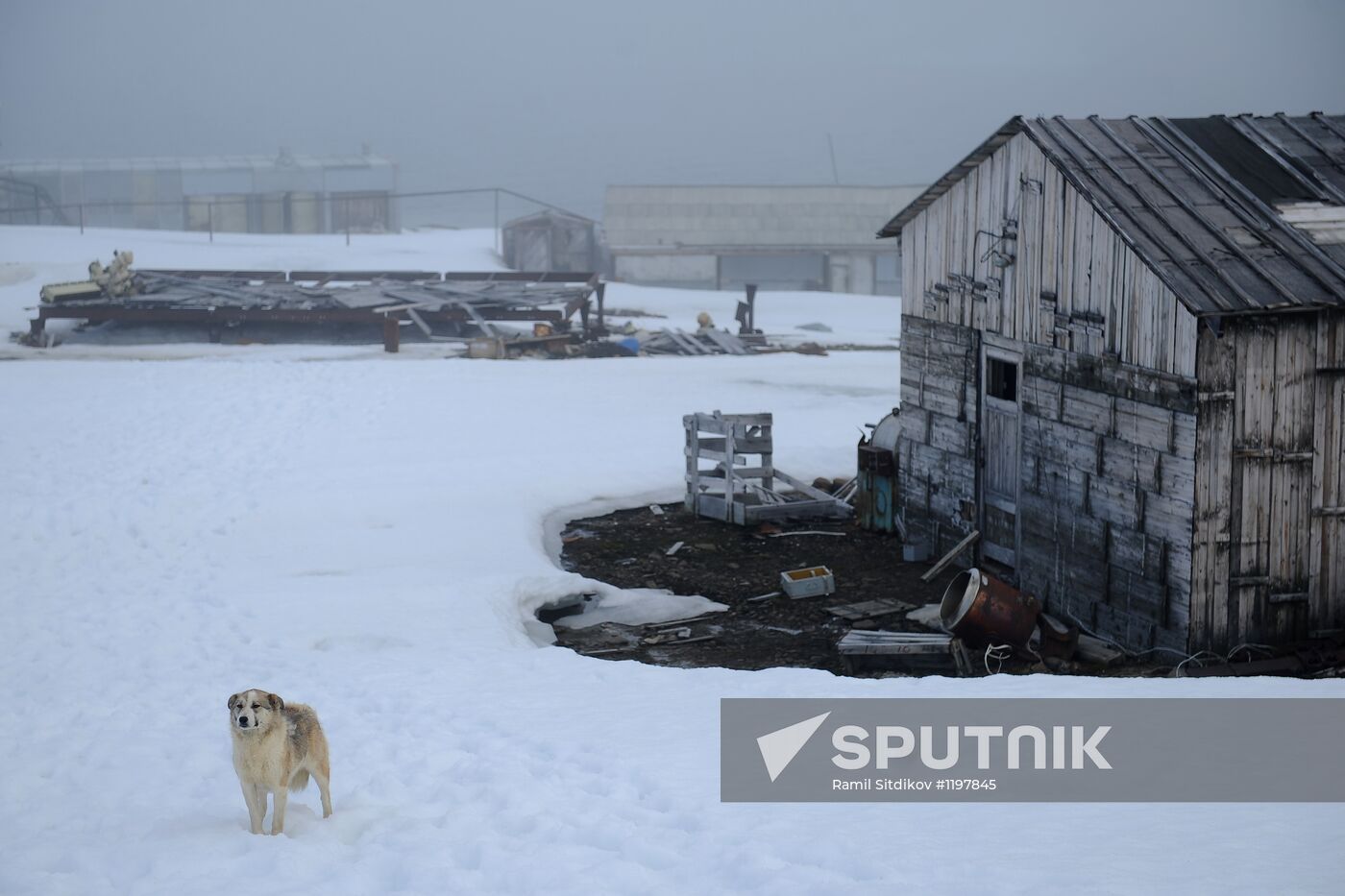 Russian Arctic National Park