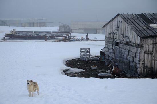 Russian Arctic National Park