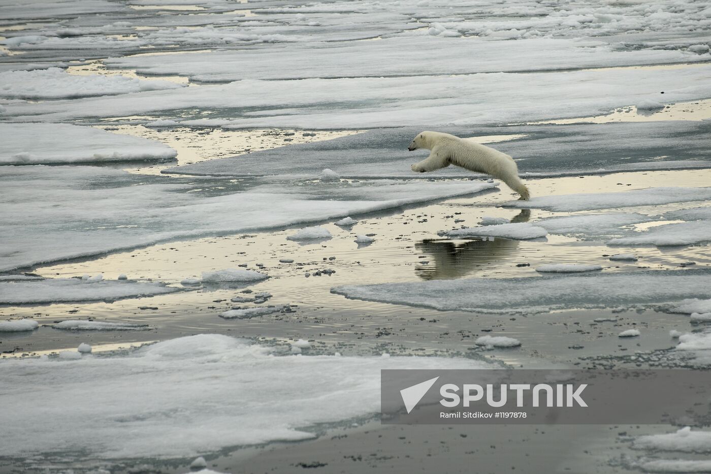 Russian Arctic national park