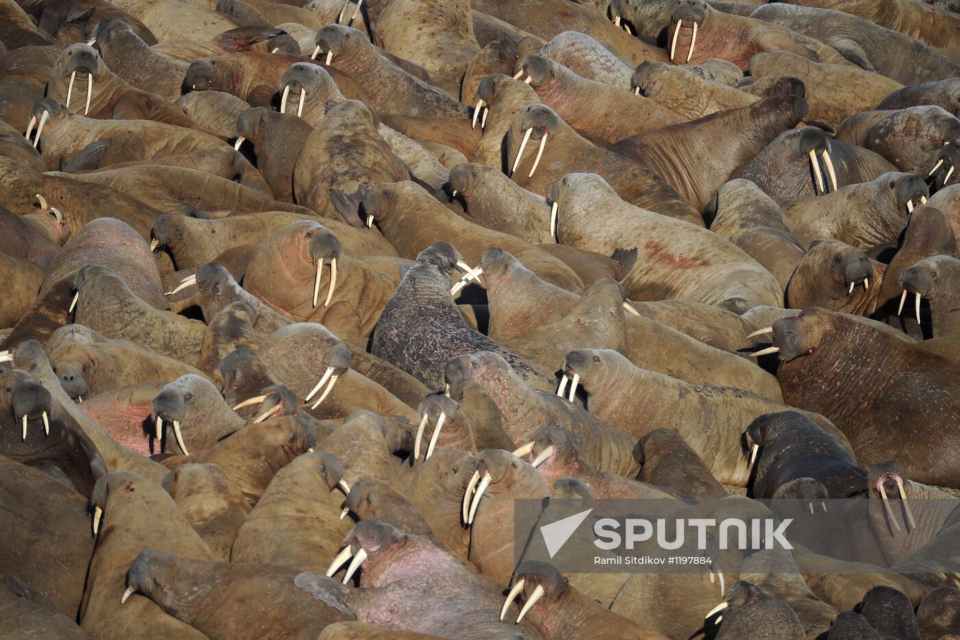 Russian Arctic National Park