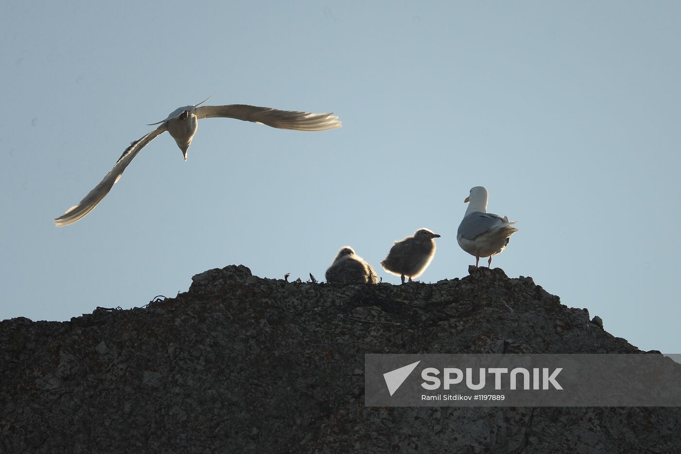 Russian Arctic National Park