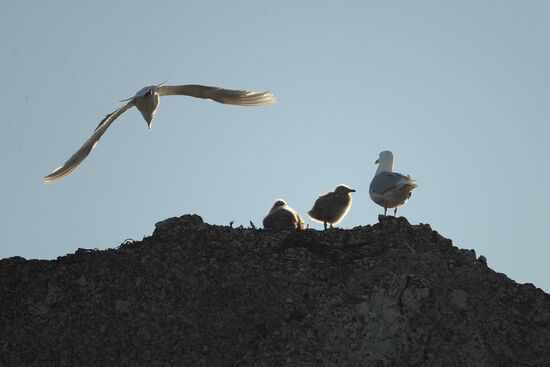 Russian Arctic National Park