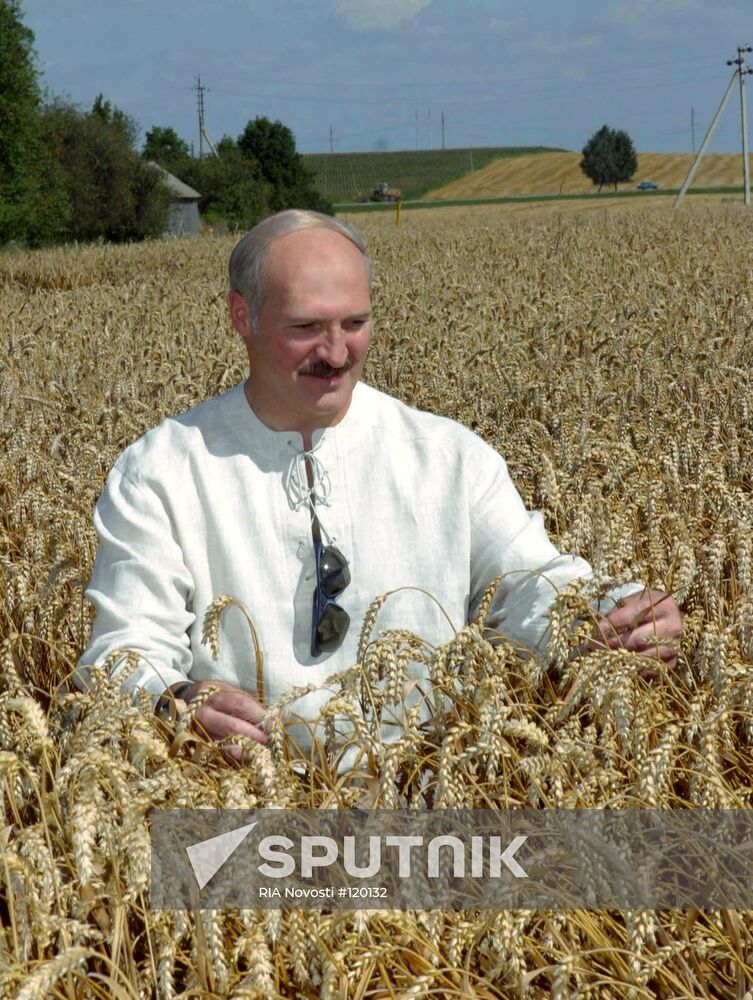 LUKASHENKO COOPERATIVE GRODNO FIELD GRAIN
