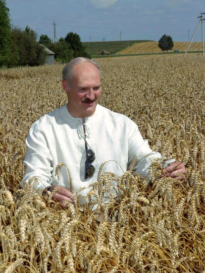 LUKASHENKO COOPERATIVE GRODNO FIELD GRAIN