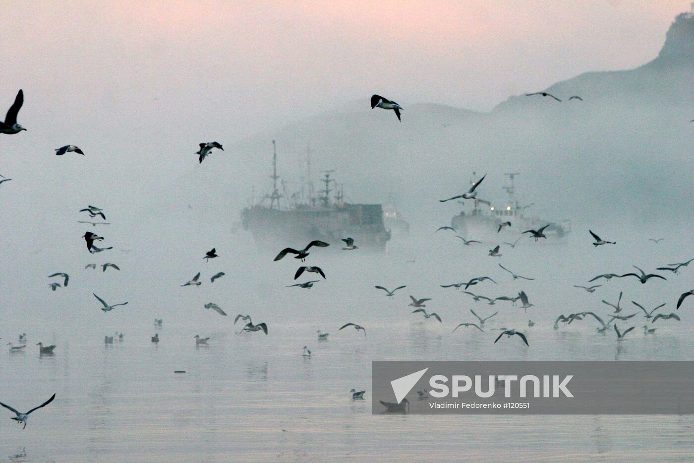 FISHING VESSELS SEAGULLS MIST