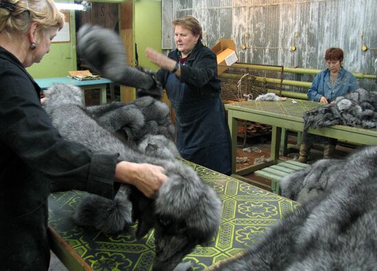 SILVER FOX SKINS PEDIGREE FUR FARM
