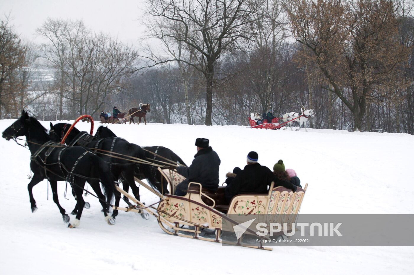 Sleigh riding horses Kolomenskoye winter snow