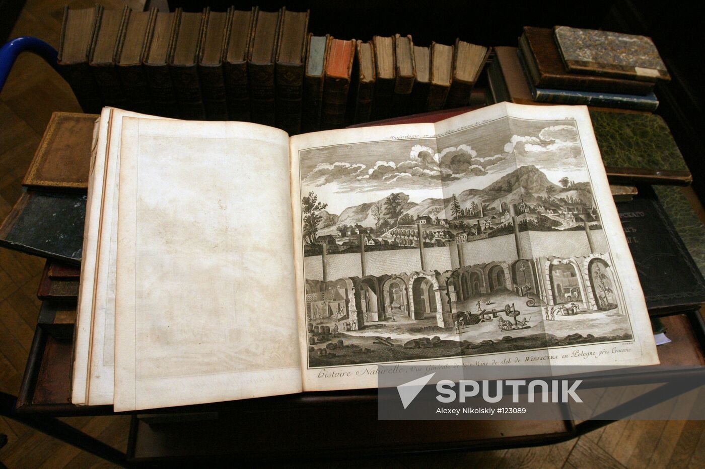 BOOK MUSEUM DEPOSITORY DENDROLOGICAL ENCYCLOPEDIA
