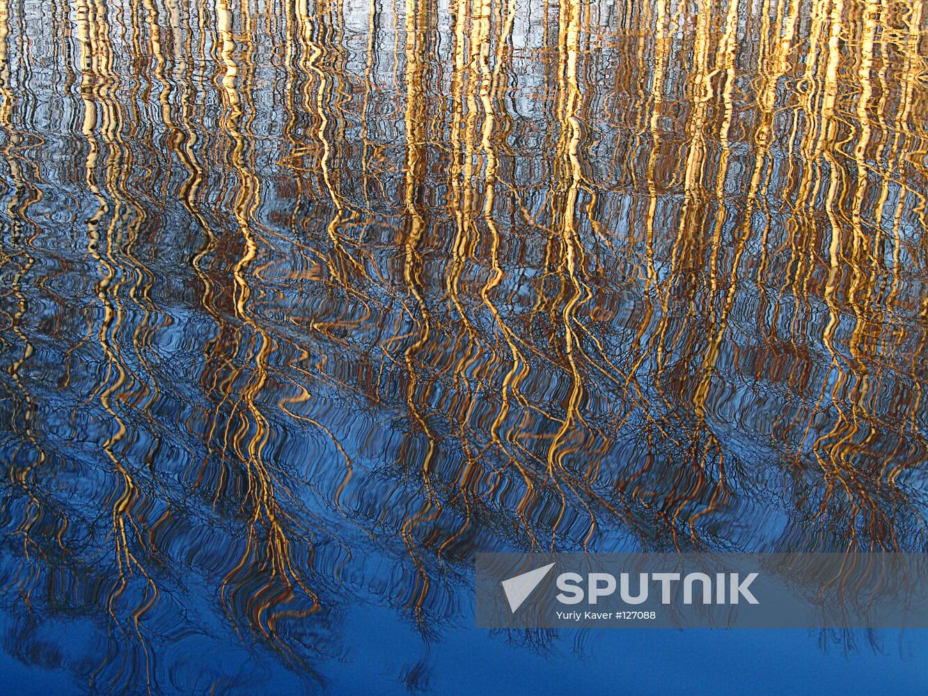 FLOOD IN OKA NATURE PRESERVE