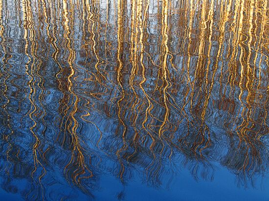 FLOOD IN OKA NATURE PRESERVE