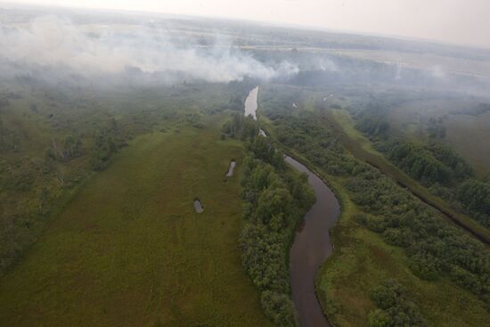 Wildfires put out in the Tomsk region