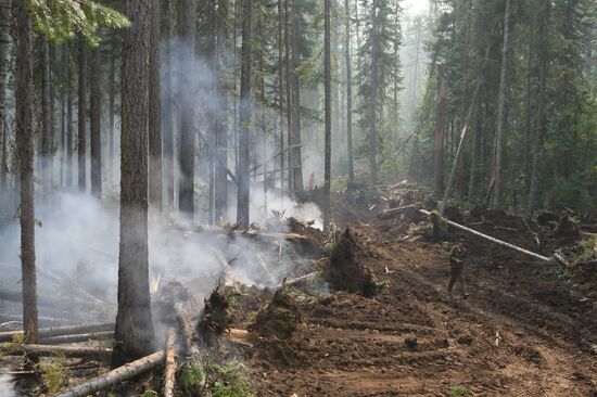 Wildfires battled in Krasnoyarsk Region