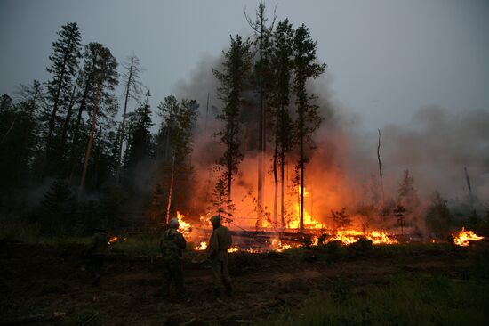 Wildfires battled in Krasnoyarsk Territory