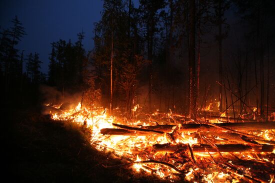 Wildfires battled in Krasnoyarsk Region