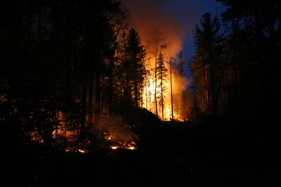 Wildfires battled in Krasnoyarsk Region