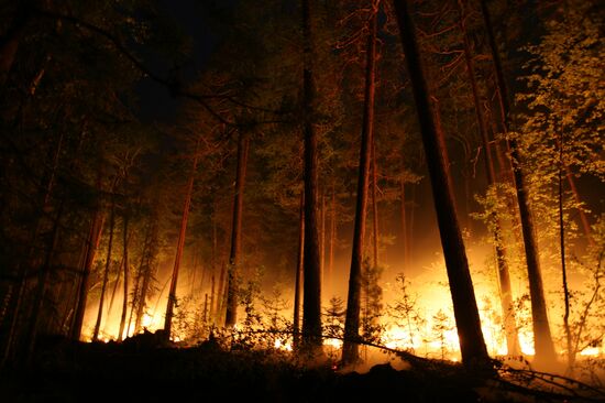 Wildfires battled in Krasnoyarsk Territory