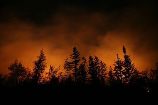 Wildfires battled in Krasnoyarsk Region