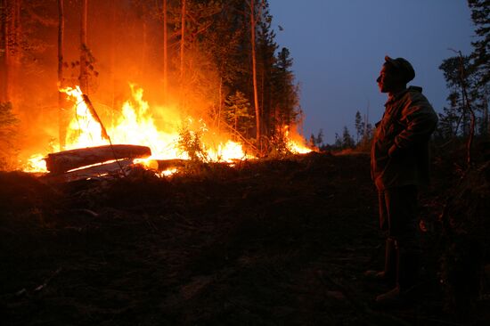 Wildfires battled in Krasnoyarsk Territory