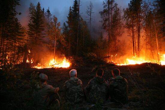 Wildfires battled in Krasnoyarsk Territory