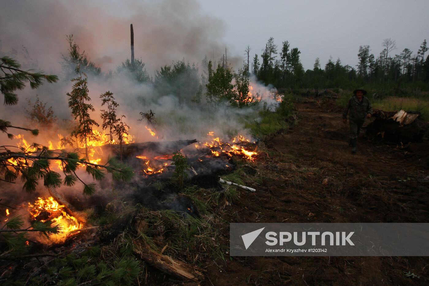 Wildfires battled in Krasnoyarsk Territory