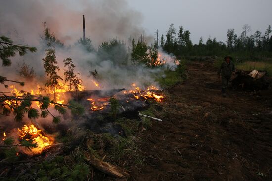Wildfires battled in Krasnoyarsk Territory