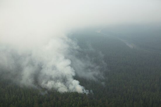 Wildfires battled in Krasnoyarsk Territory