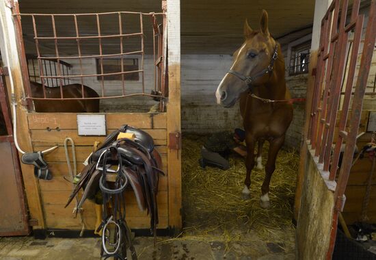 Preparations for Cossack equestrian march from Moscow to Paris