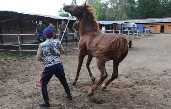 Preparations for Cossack equestrian march from Moscow to Paris