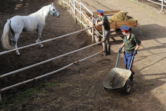 Preparations for Cossack equestrian march from Moscow to Paris