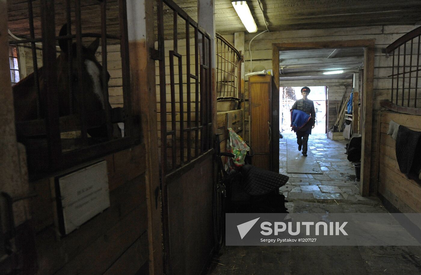 Preparations for Cossack equestrian march from Moscow to Paris