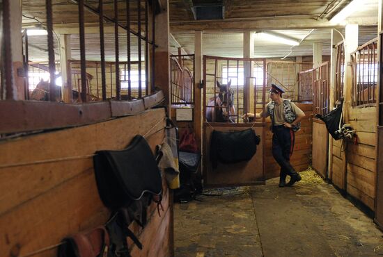 Preparations for Cossack equestrian march from Moscow to Paris