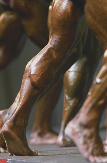 Legs of body builders